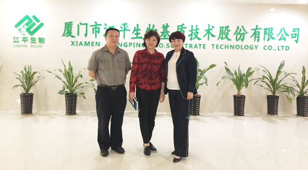 xc sports(中国区)-官方网站