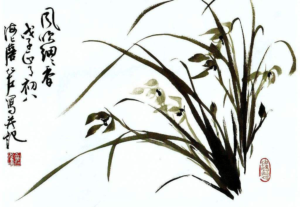 5b320c8426245 5b320c8426245