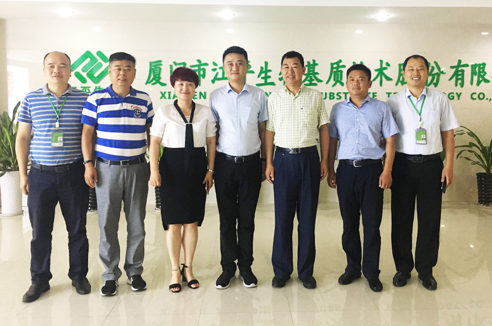 xc sports(中国区)-官方网站