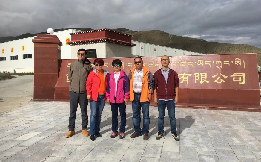 xc sports(中国区)-官方网站