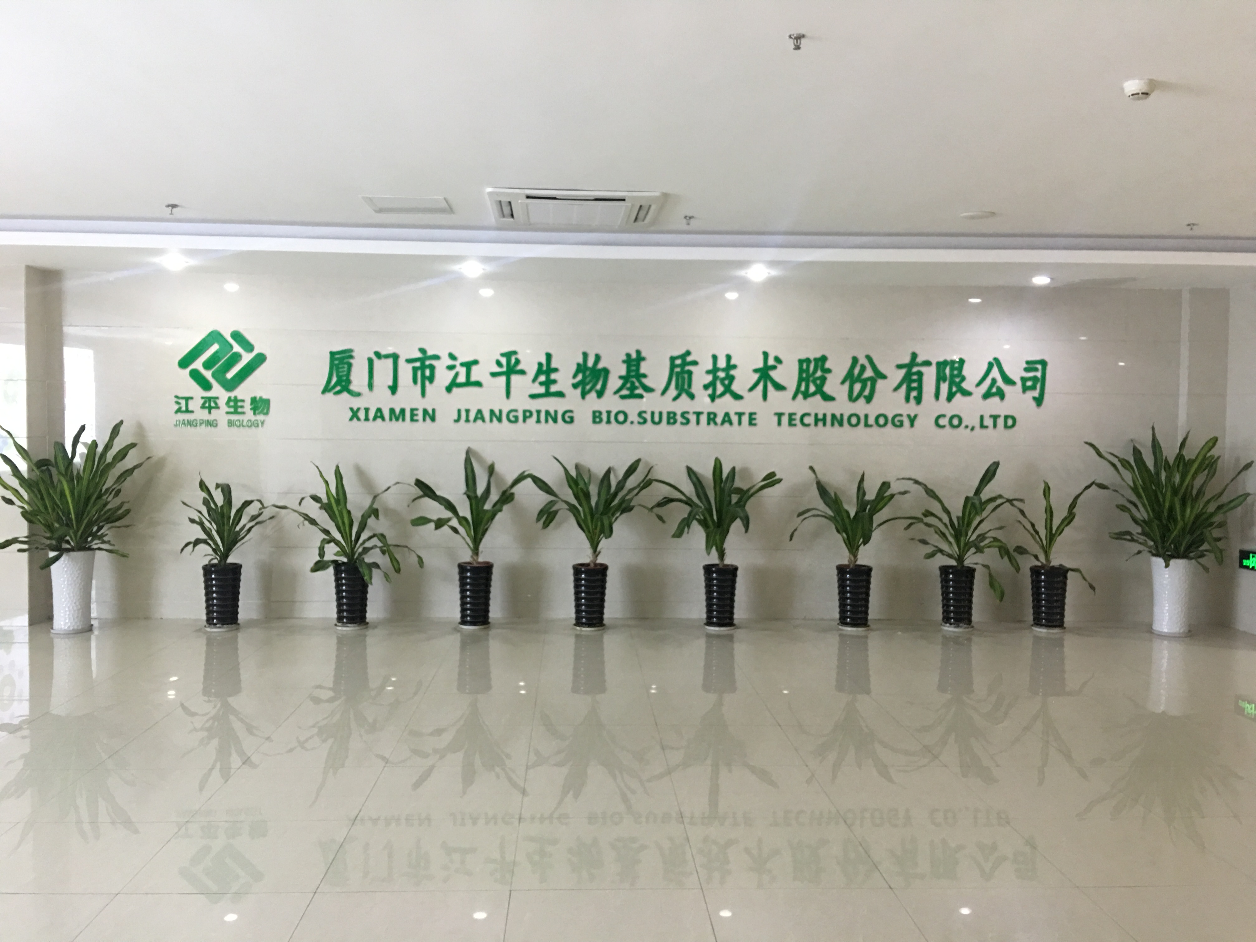 xc sports(中国区)-官方网站