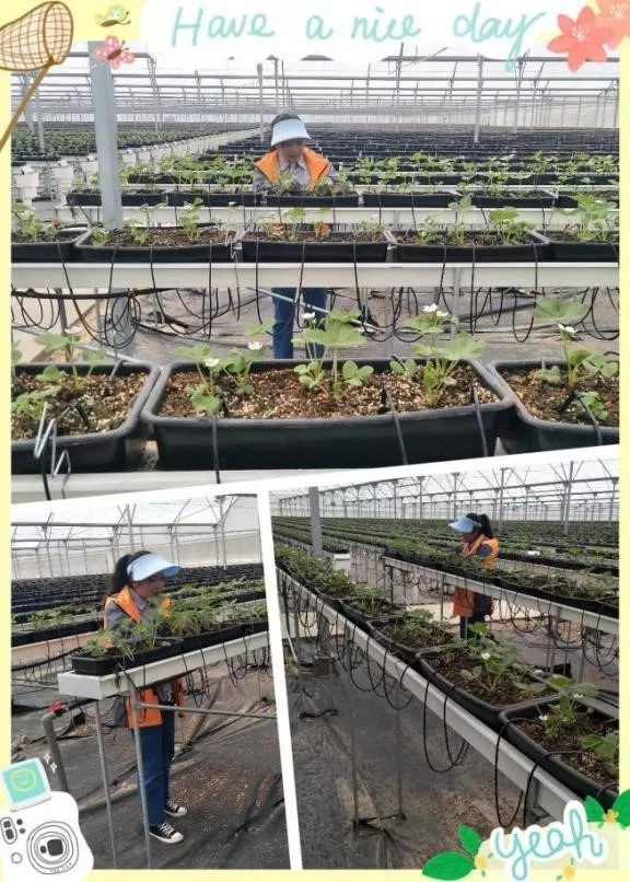 5ceb9c4ab4e50