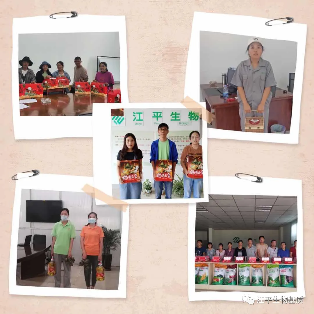 5ef8561f12c3e 5ef8561f12c3e
