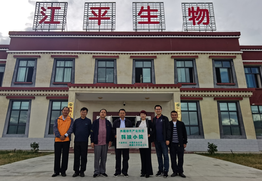 xc sports(中国区)-官方网站