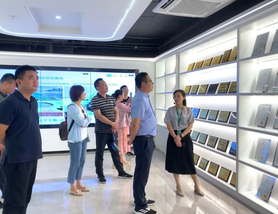 xc sports(中国区)-官方网站