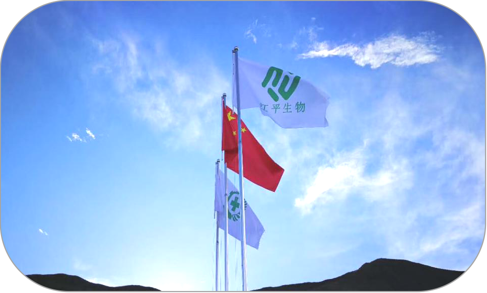 xc sports(中国区)-官方网站