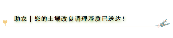 60122051b8f1c 60122051b8f1c