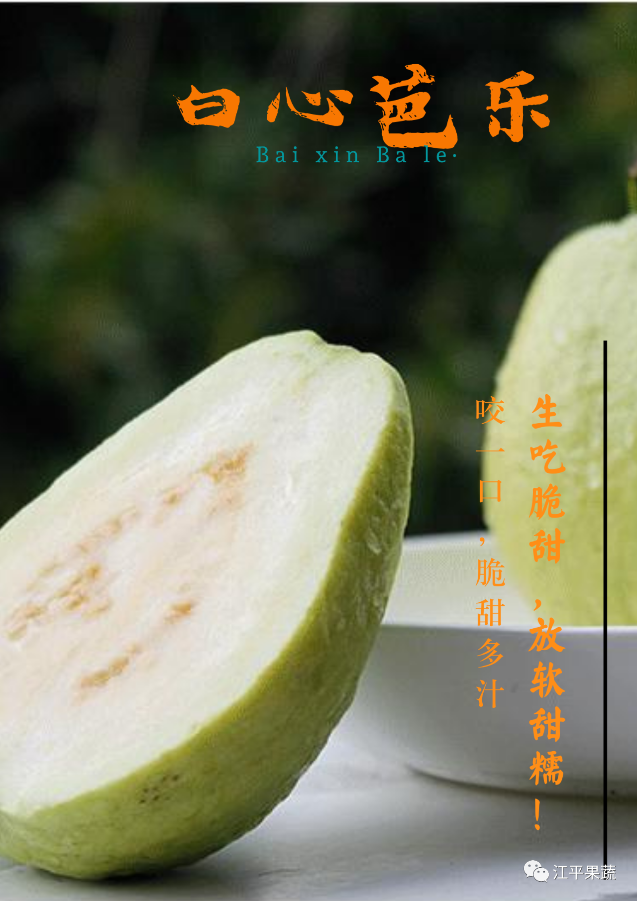 xc sports(中国区)-官方网站
