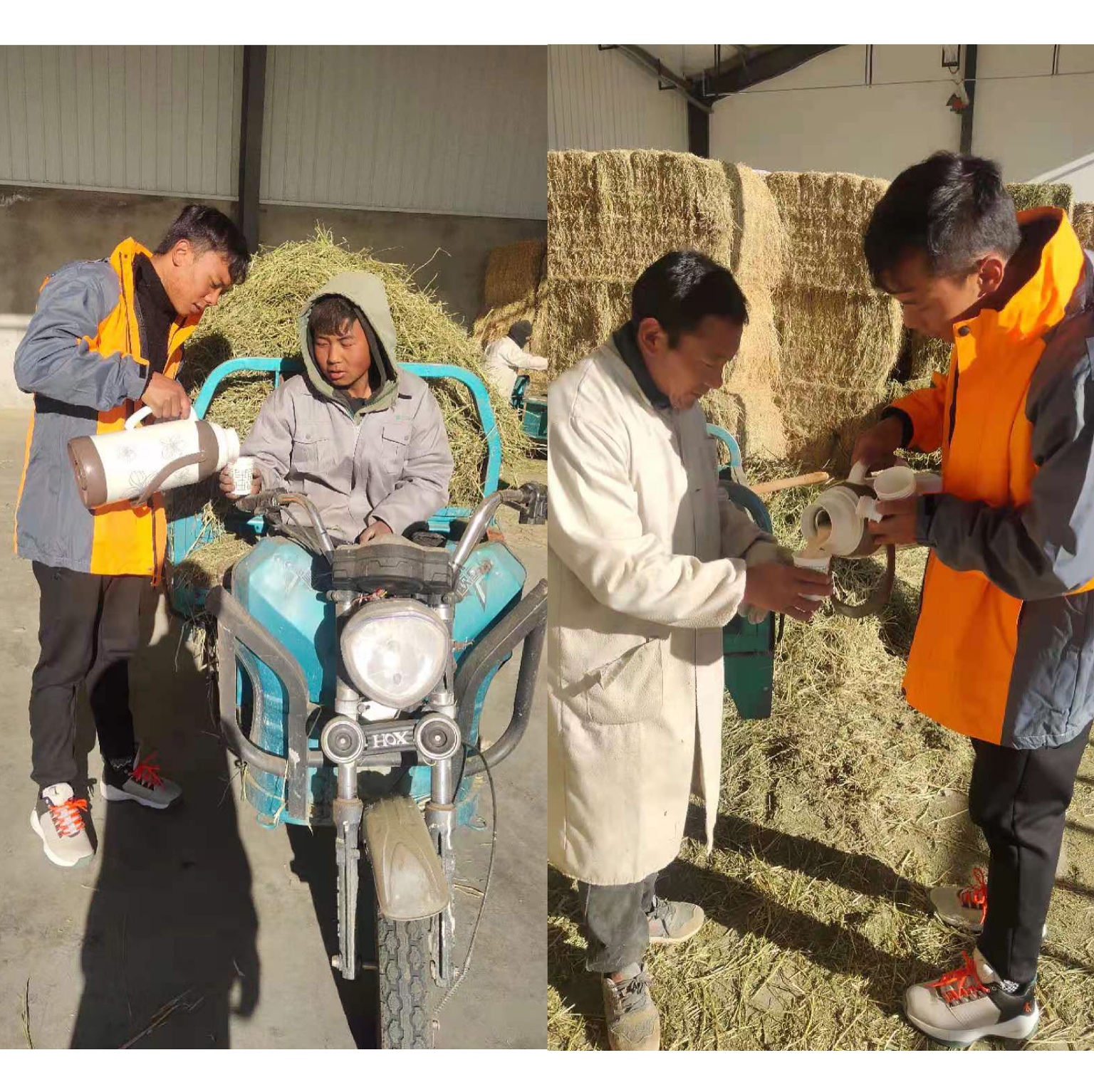 xc sports(中国区)-官方网站