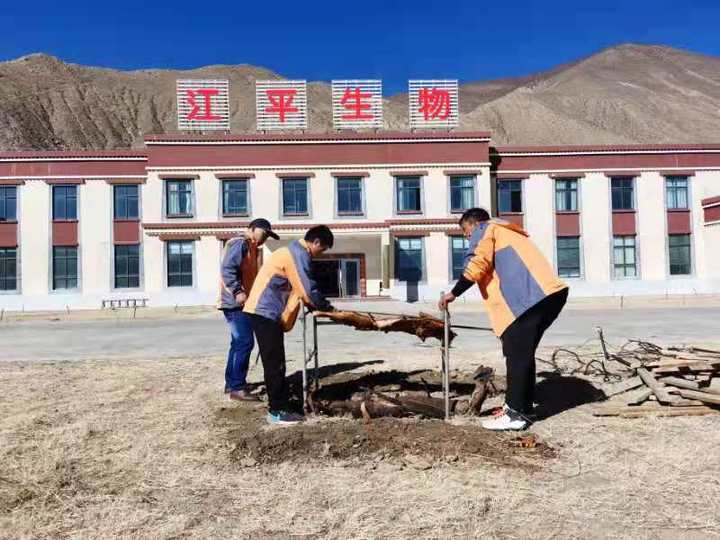 xc sports(中国区)-官方网站