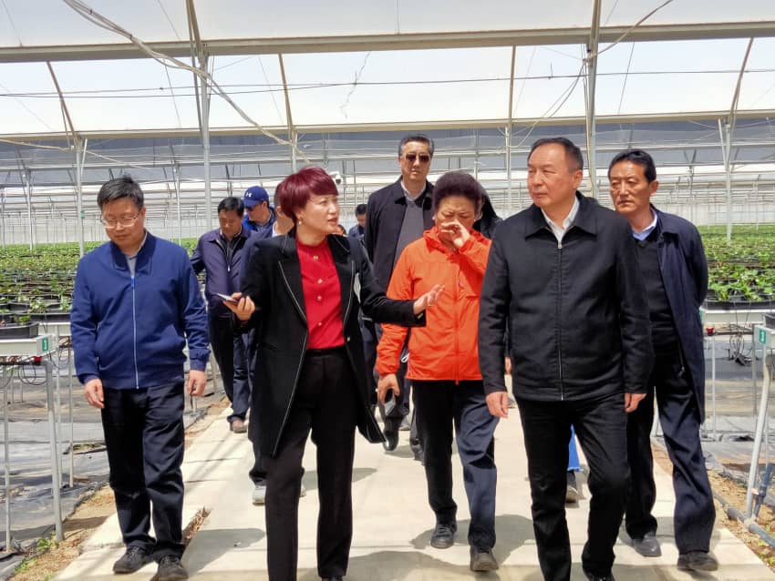 xc sports(中国区)-官方网站