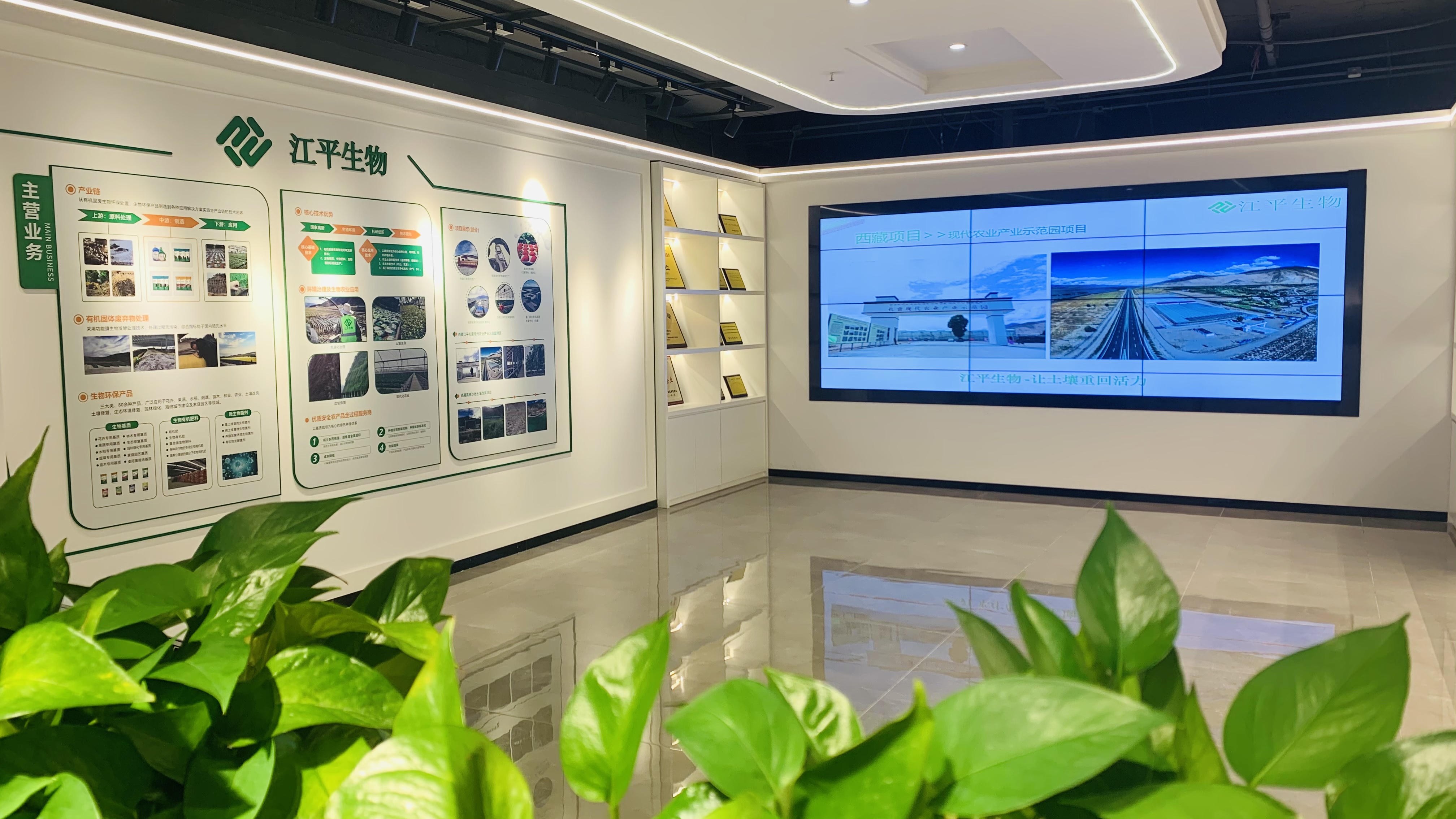 xc sports(中国区)-官方网站