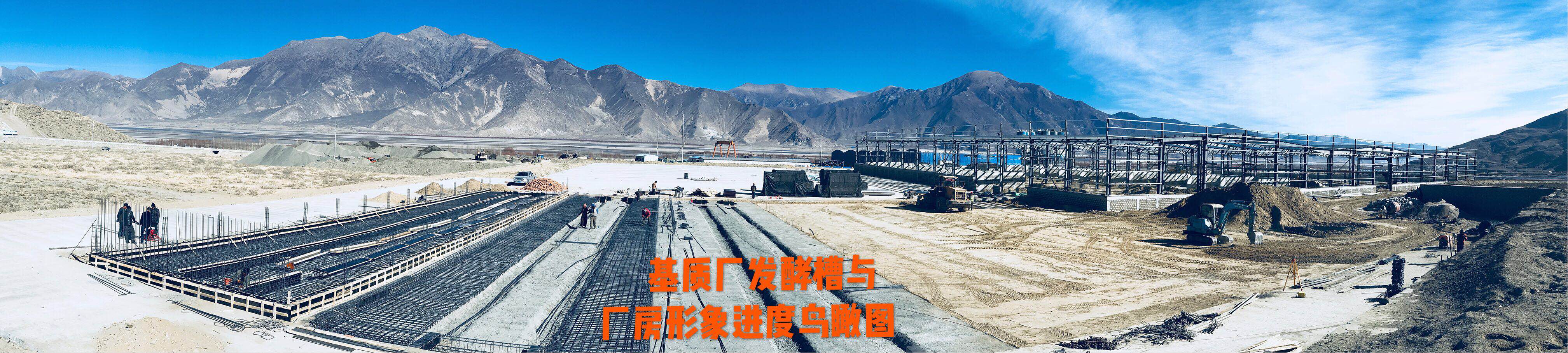 xc sports(中国区)-官方网站