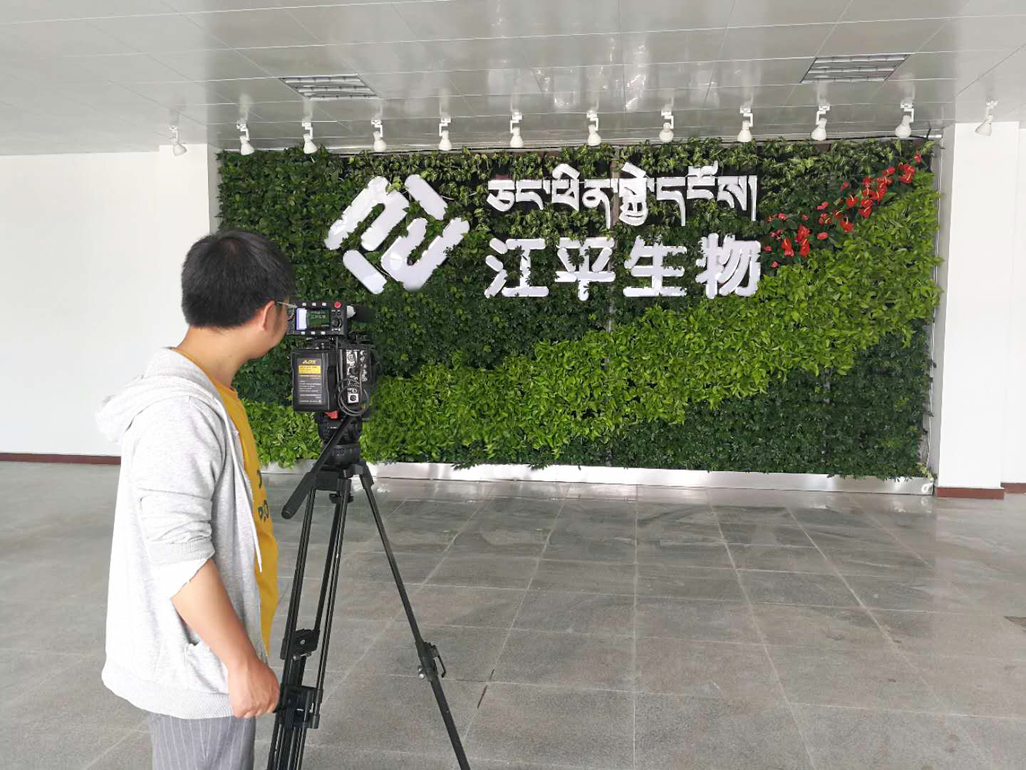 xc sports(中国区)-官方网站