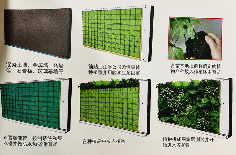 61259a62376a7 61259a62376a7