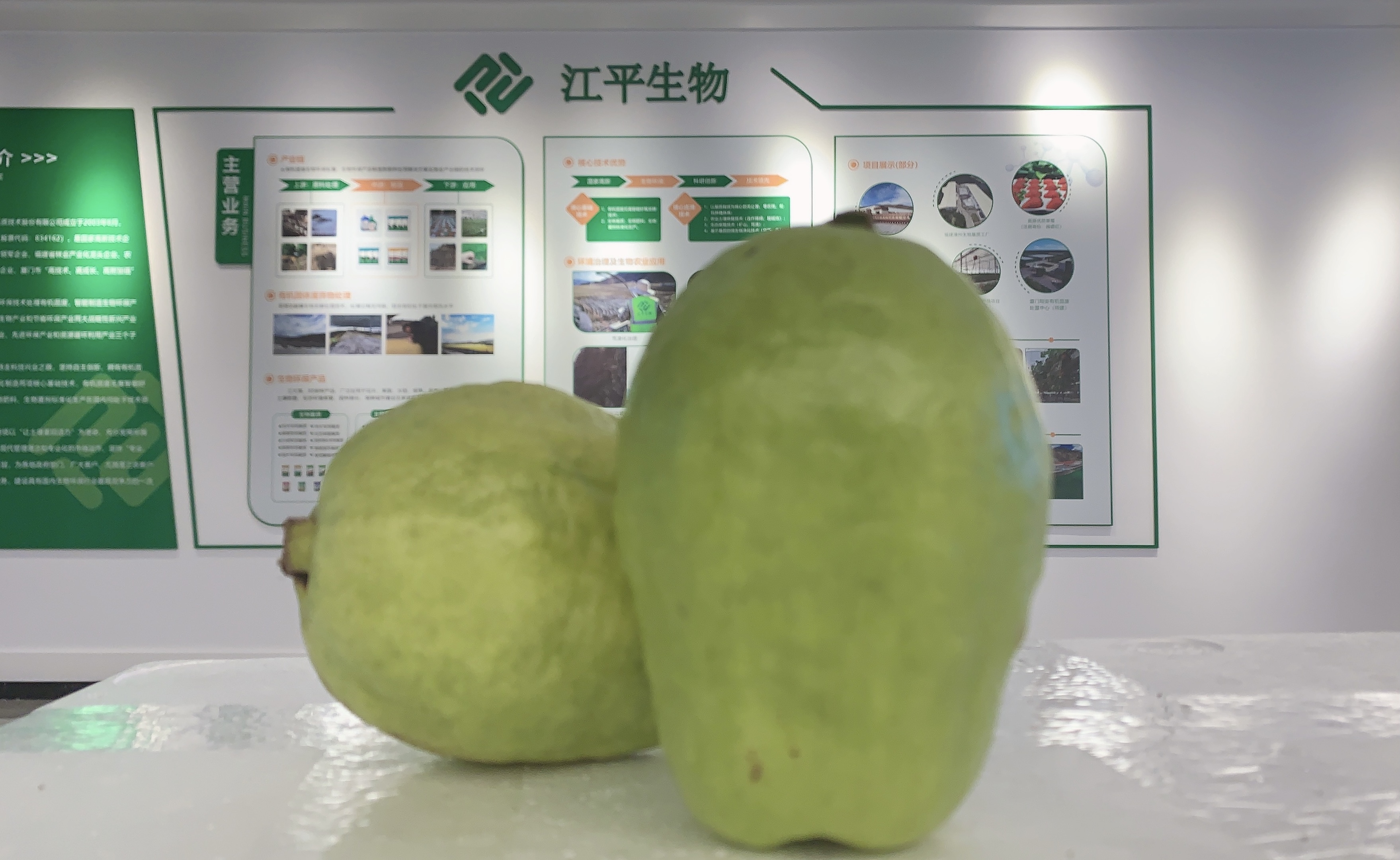 xc sports(中国区)-官方网站