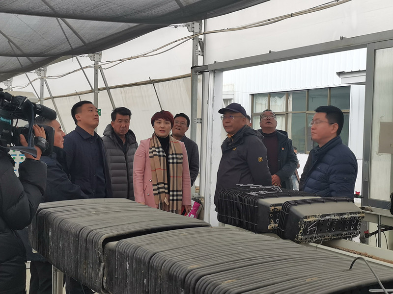 xc sports(中国区)-官方网站