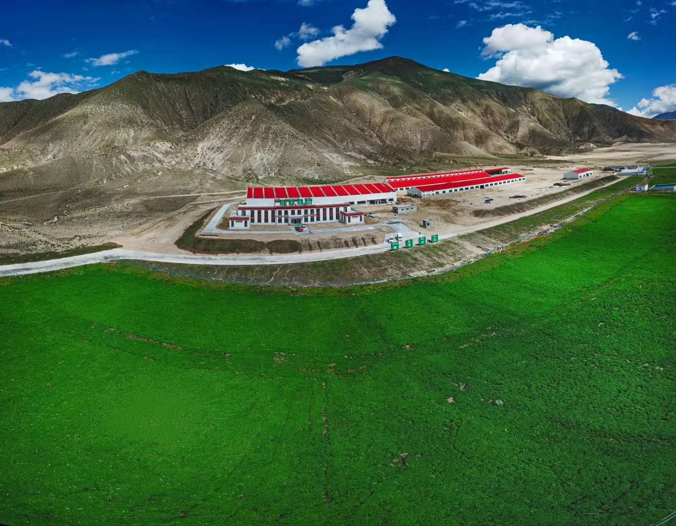 xc sports(中国区)-官方网站