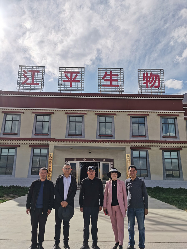 xc sports(中国区)-官方网站