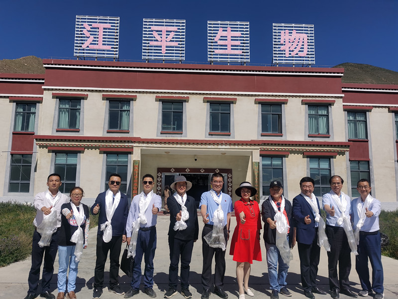 xc sports(中国区)-官方网站