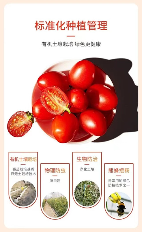 xc sports(中国区)-官方网站