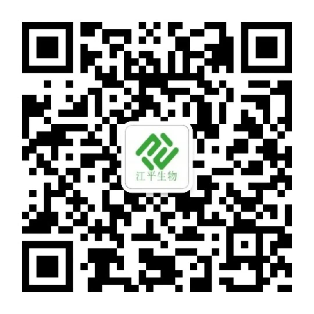 xc sports(中国区)-官方网站